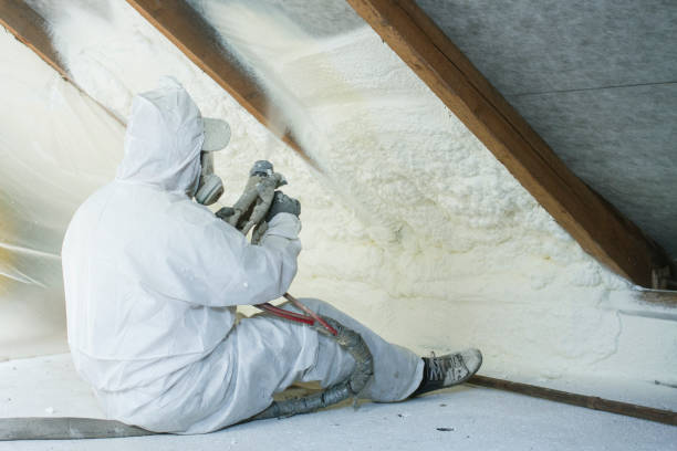 Best Thermal Imaging for Insulation Gaps in Mims, FL