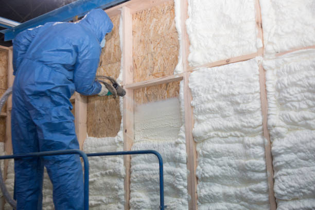 Best Batt and Roll Insulation in Mims, FL